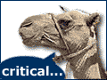 Oilzine.com - Critical... not Serious